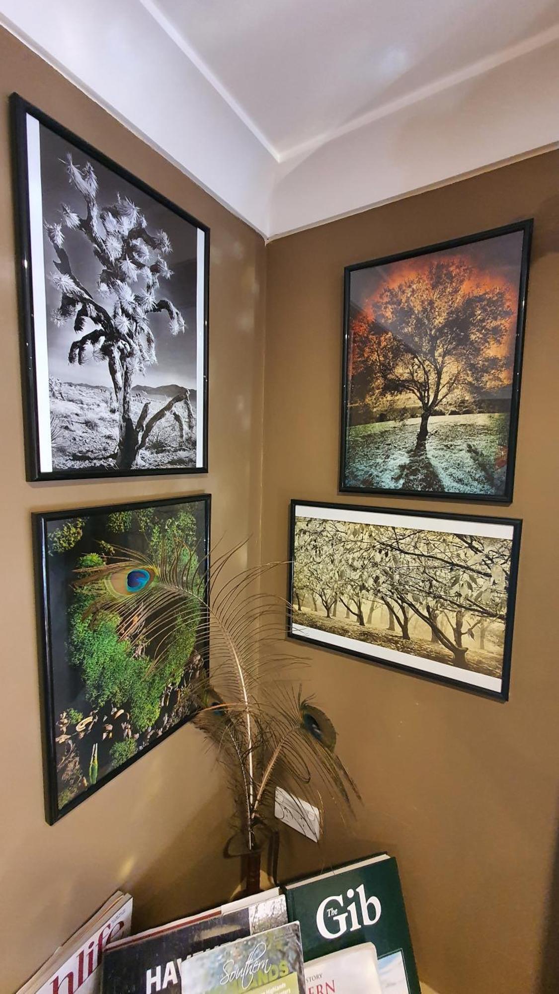 Bowral Road Art Gallery Bed And Breakfast Mittagong Dış mekan fotoğraf