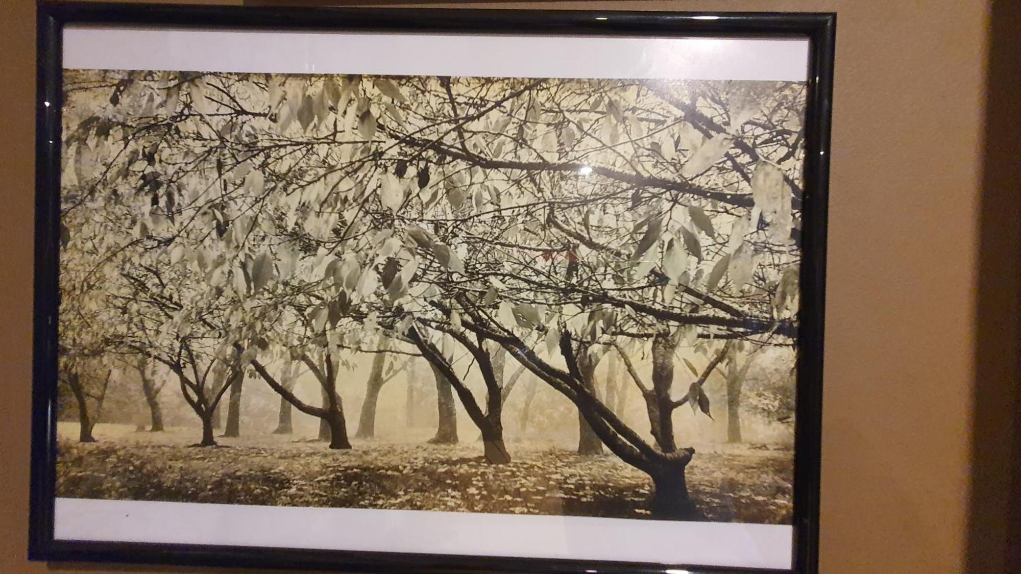 Bowral Road Art Gallery Bed And Breakfast Mittagong Dış mekan fotoğraf