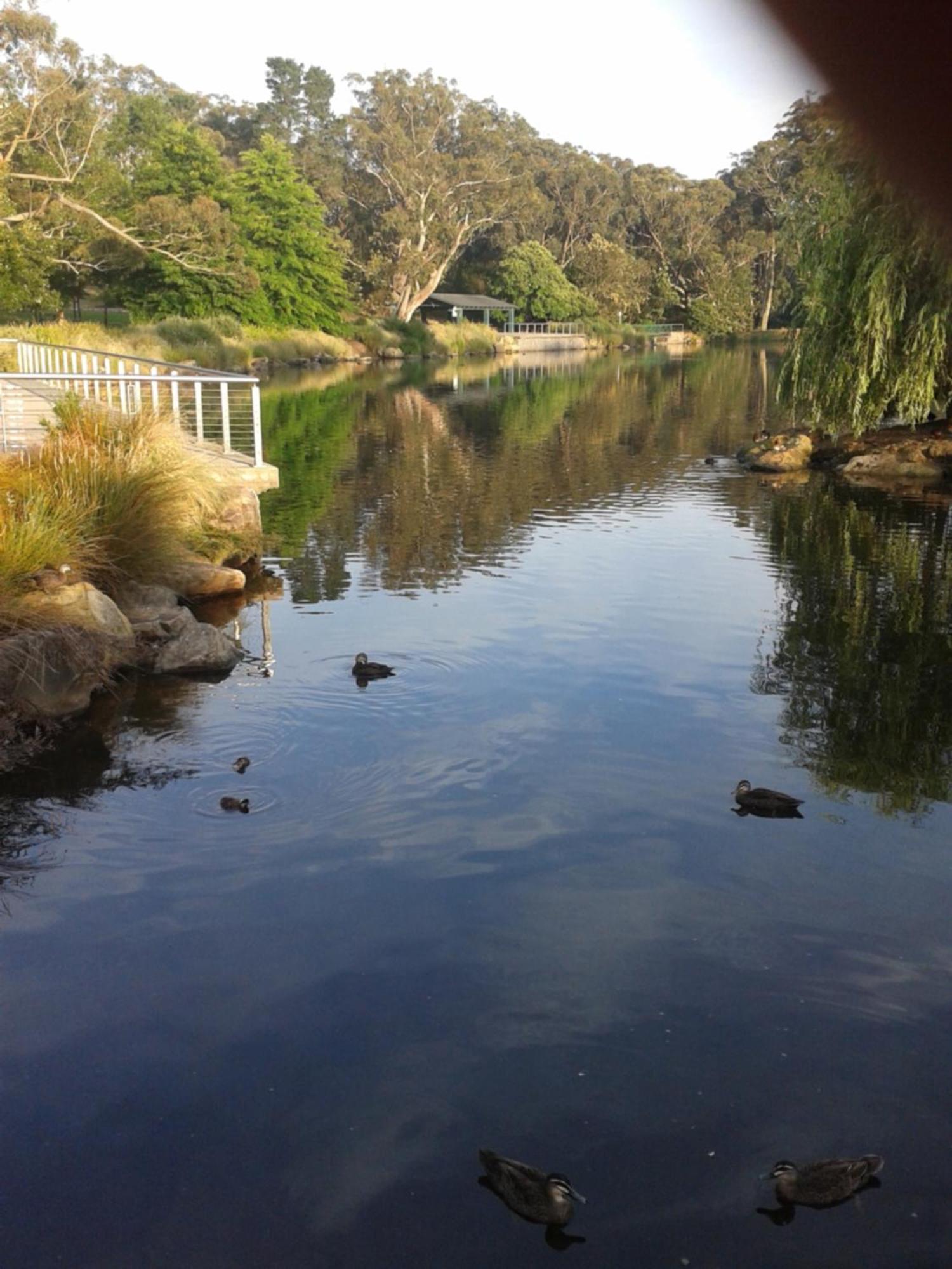 Bowral Road Art Gallery Bed And Breakfast Mittagong Dış mekan fotoğraf