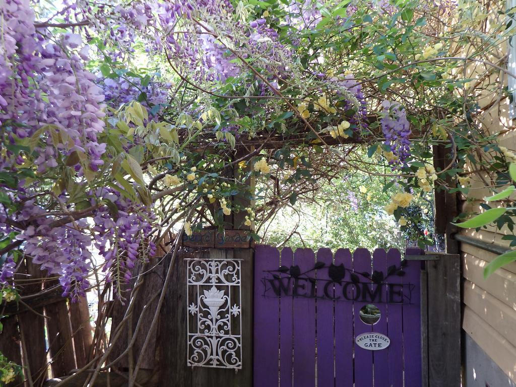 Bowral Road Art Gallery Bed And Breakfast Mittagong Dış mekan fotoğraf